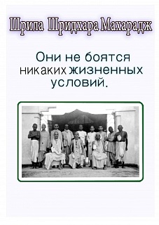 Они не боятся любых жизненных условий